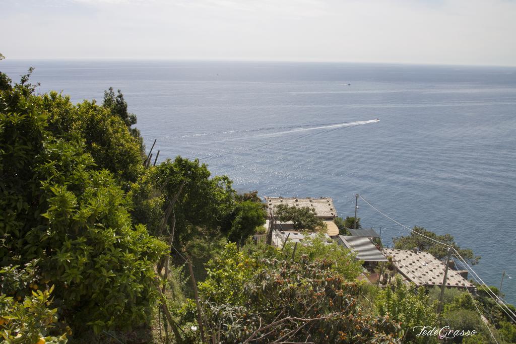 Marina Di Corniglia Big Flat In 5 Terre Apartment Vernazza Bagian luar foto