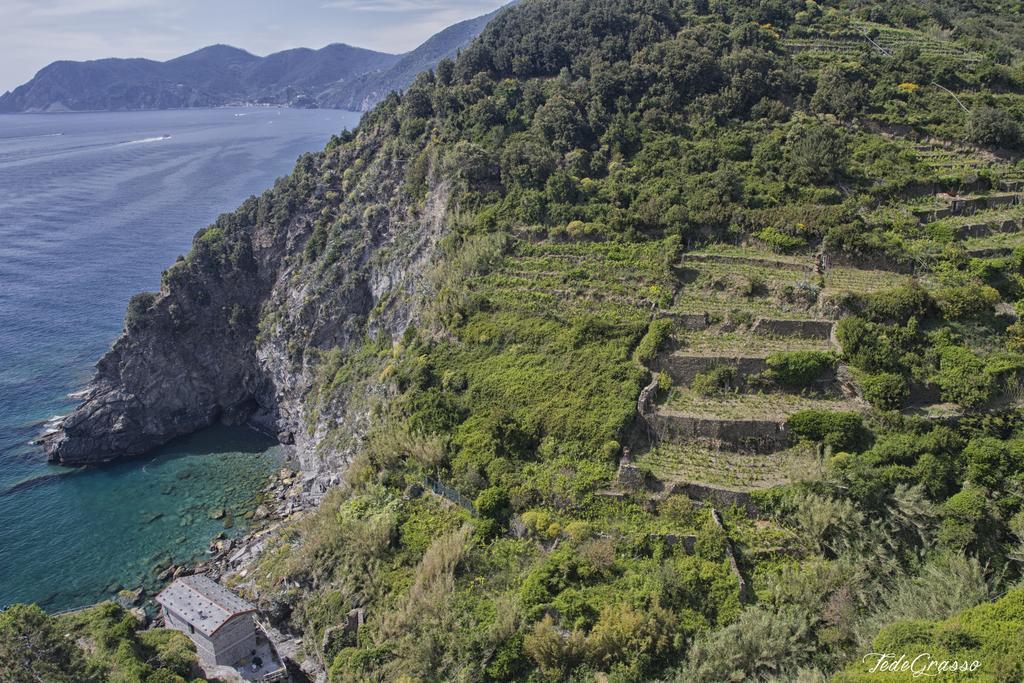 Marina Di Corniglia Big Flat In 5 Terre Apartment Vernazza Bagian luar foto